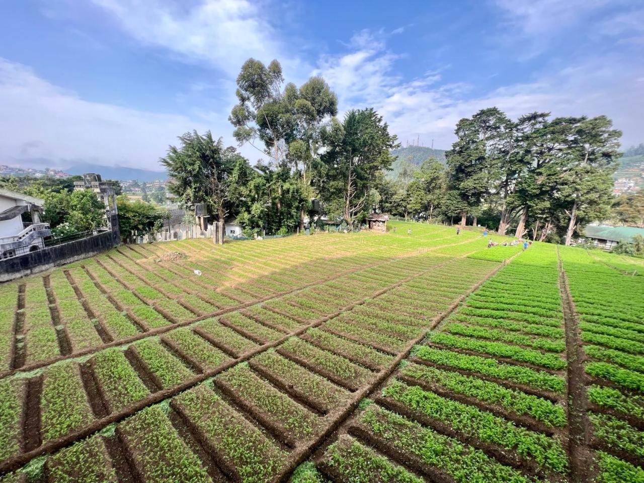 Lake View Residencies Nuwara Eliya Dış mekan fotoğraf
